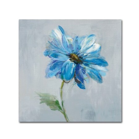 Trademark Fine Art Danhui Nai 'Floral Bloom I v2' Canvas Art, 35x35 WAP01854-C3535GG